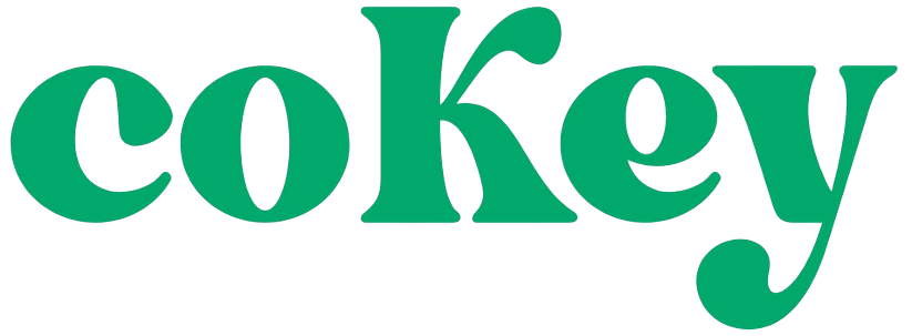 coKey font logo